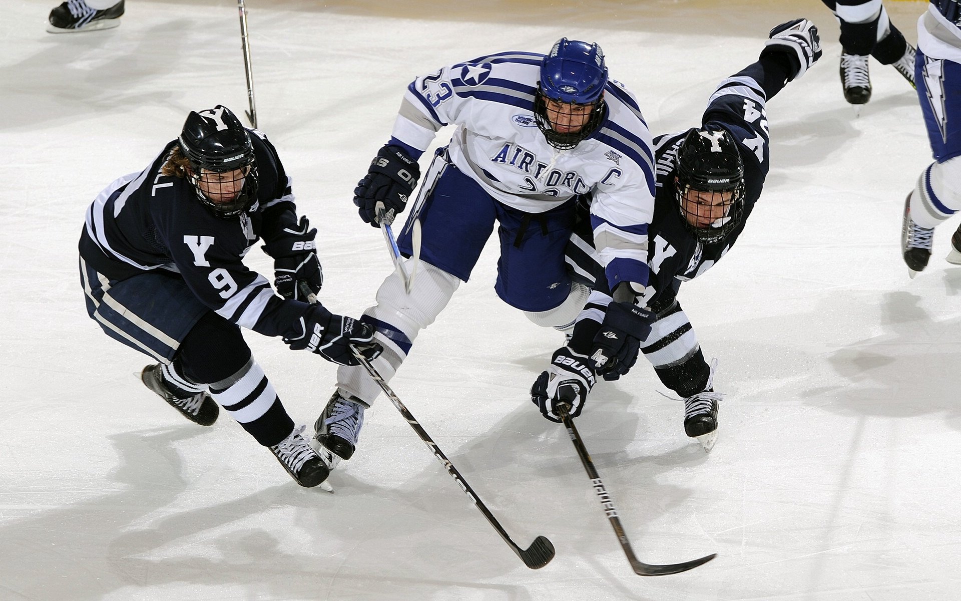 _极地冰川徒步：感受大自然的震撼_，极地冰川主要在南极还是北极