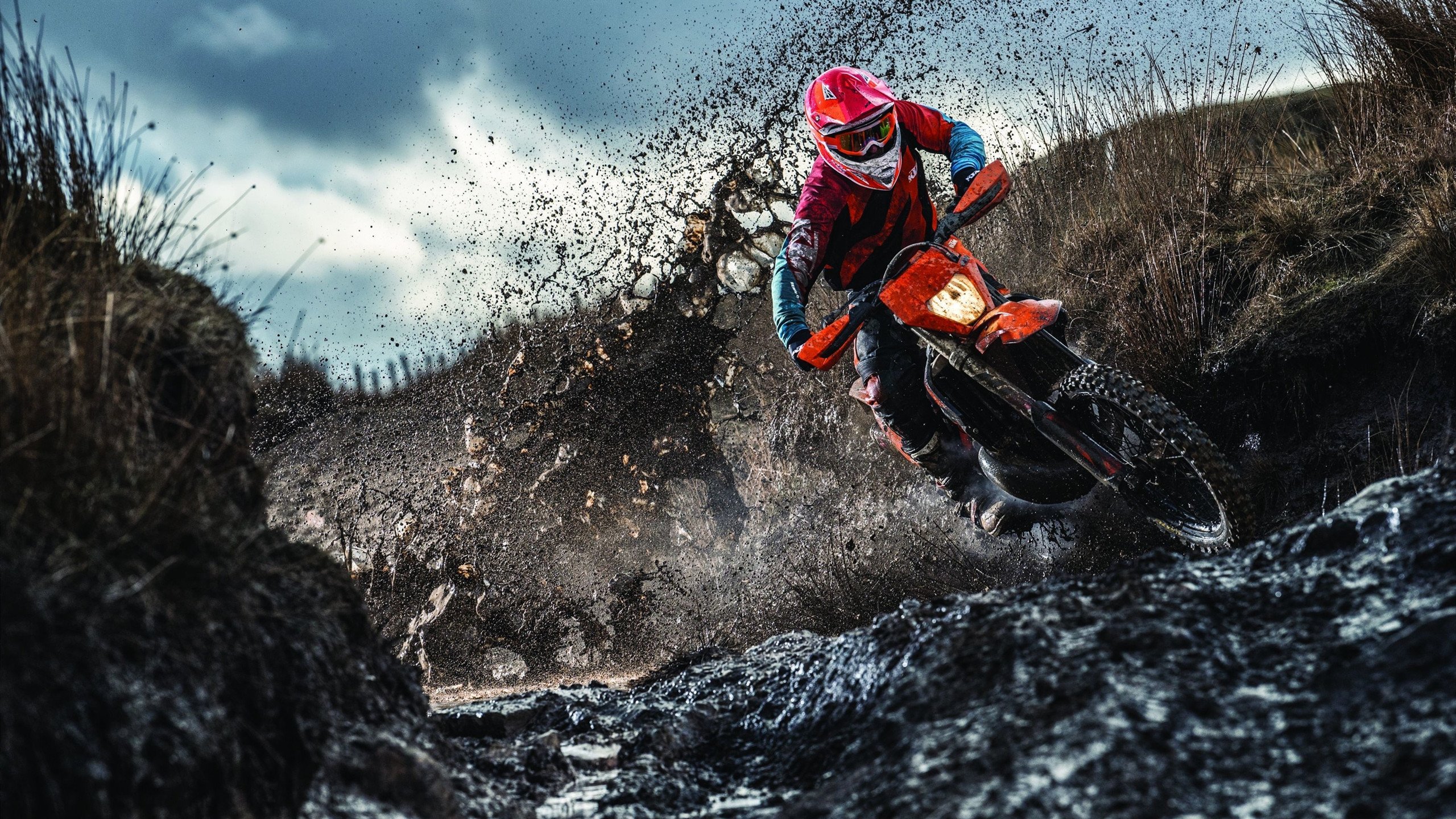 线上打卡:最美观赛地照片大比拼